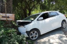 Ebrio choca su vehículo contra un árbol