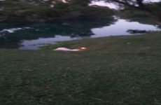 Adulto mayor muere ahogado en río de El Naranjo