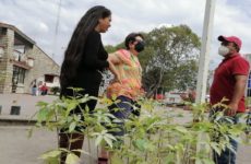 Dona planta cementera  800 árboles para reforestar