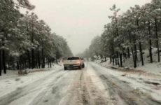Nieve “pinta de blanco” 30 municipios de Chihuahua