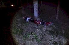 Muere motociclista al estrellarse contra árbol