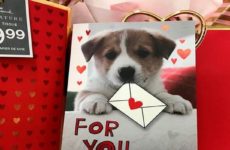El amor por los perros transforma San Valentín