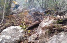 En tres días se queman casi 34 hectáreas en la sierra de Tamasopo
