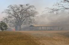 Incendios devastan  varias zonas de  Valles y Tamasopo