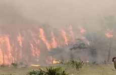 Incendios forestales  siguen activos en  Aquismón y Valles