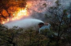 Conafor reporta control de 15% del incendio forestal en Coahuila y NL