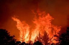 Fuertes vientos dificultan sofocar incendio en Sierra de Arteaga