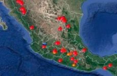 Reporta Conafor un incendio forestal en el Sitio Sagrado de Wirikuta, en Villa de Guadalupe