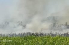 Incendio de La Hincada se extiende a Tamasopo