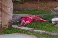 Asesinan a machetazos a un adulto mayor en San Vicente