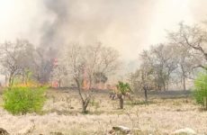 Incendios forestales aumentan el calor  en Ciudad Valles