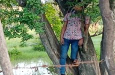 Joven se suicida colgándose de un árbol, en Tamuín