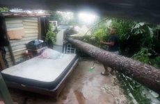 Emiten declaratoria de desastre natural para 54 municipios de Puebla por huracán “Grace”