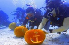 Buzos compiten en concurso submarino de tallado de calabaza en Florida
