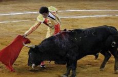 Propuesta de prohibir corridas de toros en CDMX levanta polémica