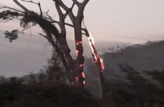 Quema de paja  incendia cerros  del Veladero