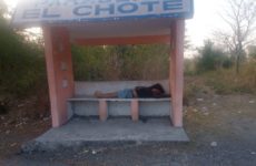 Hallan a un hombre asesinado en un paradero de la carretera Tamuín-San Vicente 