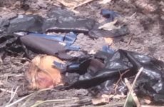 Hallan restos humanos semienterrados en Tamuín