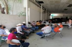 Cortadores de La  Estribera segarán 50  hectáreas de planta