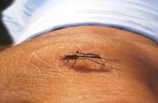 Descartan dengue  hemorrágico en Ciudad Valles