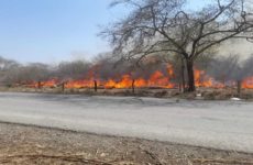 Incendios ponen en jaque a corporaciones de Valles y la Huasteca potosina