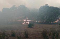 Tras 24 horas, liquidan incendio en bosque La Primavera, en Zapopan, Jalisco