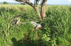 Fallece joven luego de chocar su motocicleta contra un árbol en Tamuín 