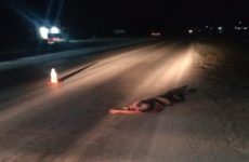 Hombre muere arrollado por un “vehículo fantasma”