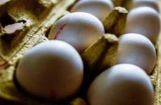 Ante alza en precios SHCP plantea importar huevo y pollo de Brasil y carne de Argentina