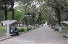 Rehabilitación de la Alameda “Juan Sarabia” ya se aprobó pero sin puentes peatonales: Machinena