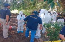 Ubican los cuerpos de 685 personas en Jalisco