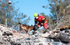Binomios caninos son reconocidos tras salvar vidas en Turquía