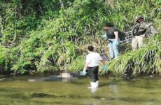 Confirman autoridades que el hombre hallado muerto en el río Valles se ahogó de manera accidental 
