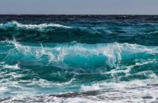 Cofepris alerta sobre tres playas en Baja California con altos niveles de enterococos
