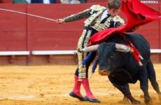 La feria de toros de San Marcos en Aguascalientes México anuncia 15 festejos