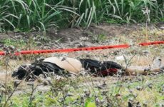 Hallan cadáver de un hombre con signos de violencia en una parcela de Tamuín 