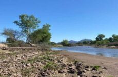 Tribunal señala ante autoridades ambientales construcción de mega presa de jales en México