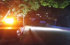 Muere motociclista tras chocar con un señalamiento vial en El Naranjo
