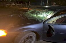 Conductor choca su vehículo contra una vaca que andaba suelta en El Naranjo 