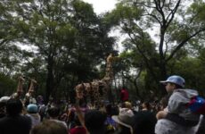 Ciudad de México festeja los 100 años de su zoológico en medio de polémica
