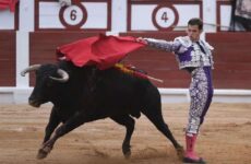 El Juli corta 8 orejas y un rabo e indulta al primer toro de la historia en Gijón