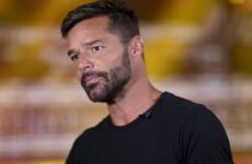 Ricky Martin pedirá la tenencia compartida de sus dos hijos