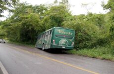 Autobús se sale del camino y choca contra unos árboles en la carretera libre Valles-Rioverde
