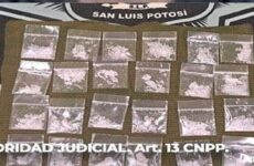 Capturan a presunto narcomenudista en Tanquián