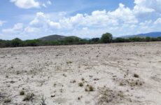 Sufren sequía “excepcional” 16 municipios