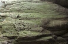Supuestos bajorrelieves en cuevas, falsos: Ahuja
