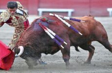 Corridas de  toros volverán  a Plaza México