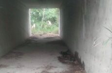 Sin identificar hombre hallado muerto y en estado de descomposición bajo un puente en Tamuín 