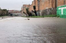 Pese a lluvias, disponibilidad de agua en presas es insuficiente: Conagua
