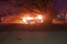Camioneta choca contra árbol y se incendia